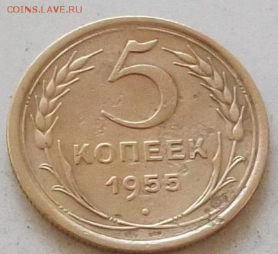 5 копеек 1954г.и 1955г. до 3.07.2019. в 23.00 по мск - 137.JPG