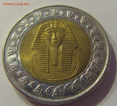 1 фунт 2007 Египет №1 05.07.2019 22:00 МСК - CIMG4777.JPG