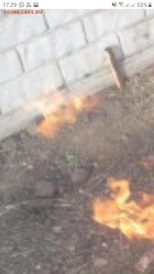 делает - прямо сейчас !!! - Screenshot_20190630-172946_Samsung Internet
