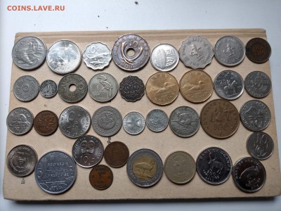 Монеты мира ФИКС до 02.06 - IMAG2046_2