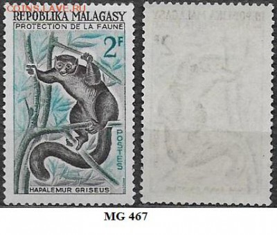Магадаскар 1961. Фикс. MG 465. Лемур - Мадагаскар. 1967.  Цветы
