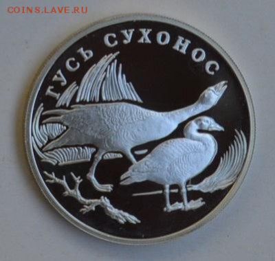 1 рубль 2006 ГУСЬ-СУХОНОС 4.07 22-30 - DSC_0669.JPG