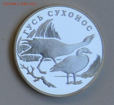 1 рубль 2006 ГУСЬ-СУХОНОС 4.07 22-30 - DSC_0670.JPG