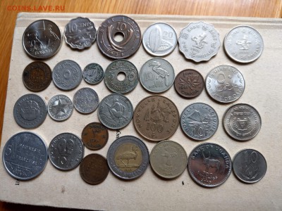 Монеты мира ФИКС до 02.06 - IMAG2055