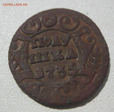 Полушка ВРП 1721 г. и полушка 1735 г. - IMG_2765.JPG