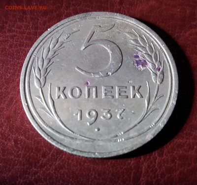 5 Копеек 1937 год до 04.07.2019 22:00 МСК - 20190701_202232