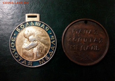 Всякая полезная всяченА - IMG_20190627_145302_320