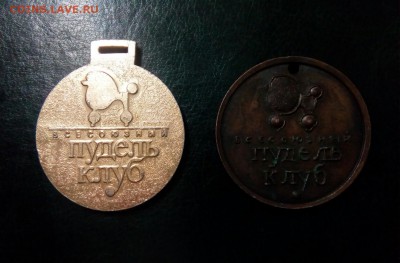 Всякая полезная всяченА - IMG_20190627_145321_010