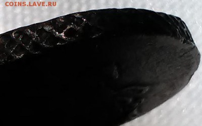 2 копейки 1791 год ЕМ - P_20190704_110248