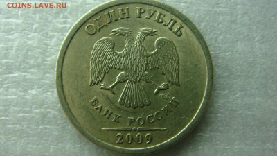 Вопросы по разновиднстям от сахарок - DSC08829.JPG