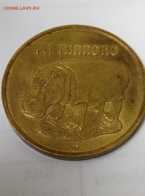 жетон рц гиппопо - IMG_20190629_190256-1
