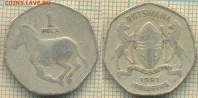 Ботсвана 1 пула 1991 г., до 11.07.2019 г. 22.00 по Москве - Ботсвана 1 пула 1991  6455