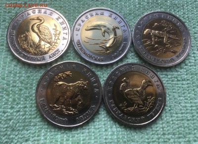 Красная Книга. На подлинность. - 13050B7C-B33C-4DF1-9197-62885B3CD1DE