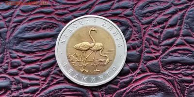 Красная книга. Фламинго мытая. До 11.07 - IMG_20190704_201327