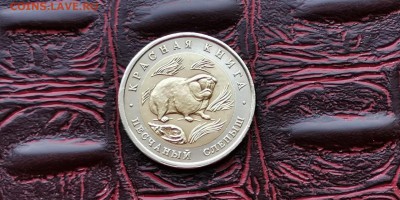 Красная книга. Песчаный Слепыш. Мытый. До 11.07 - IMG_20190704_201330