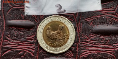 Красная книга. Кавказский Тетерев. До 11.07. N2 - IMG_20190704_201337