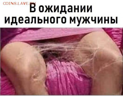юмор - MojL_2s266c