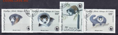 Коморы фауна WWF 4м до 10 07 - 6б