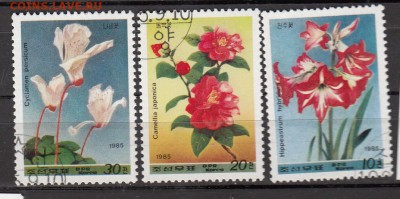КНДР 1985 цветы 3м до 10 07 - 906