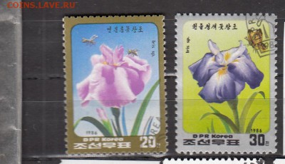 КНДР 1986 цветы 2м до 10 07 - 907