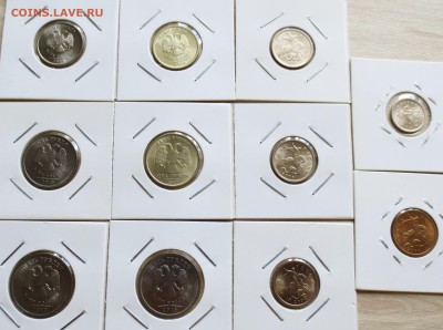 Солянка - 11 шт (все  спмд в шт. блеске) до 10.07 - IMG_6635.JPG