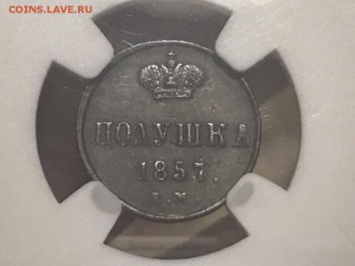 Полушка 1857 года, ЕМ. NGC-AU55BN. До 11.07.19 - 5D81B042-57CD-4B56-AE43-A30098F8B569