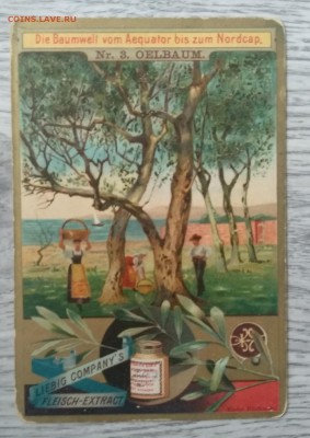 Рекламная карточка.Мясной экстракт.Бельгия 1901 г.до 15.07. - IMG_20190709_083323