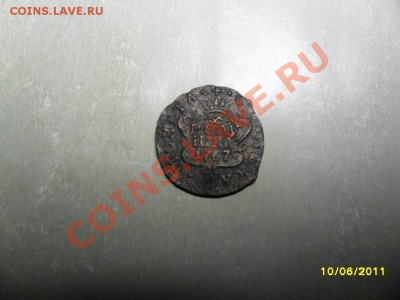 полушка сибирская 1767 до 9.07.11 в 19-00 мск - SAM_1763.JPG