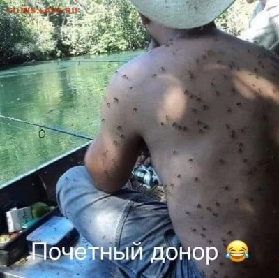 юмор - i0vrCaLGItI