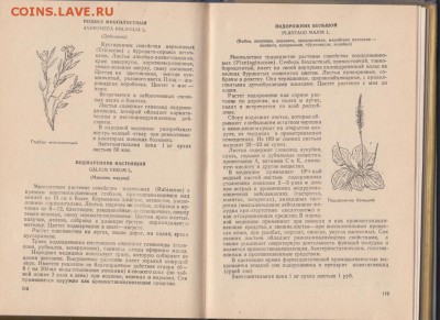 Лекарственные растения МАССР 1976 г. до 19.07.19 г. в 23.00 - 005