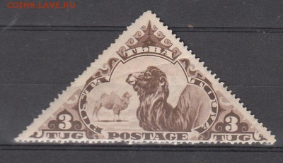 Тува 1935 фауна верблюды 1м до 18 07 - 125