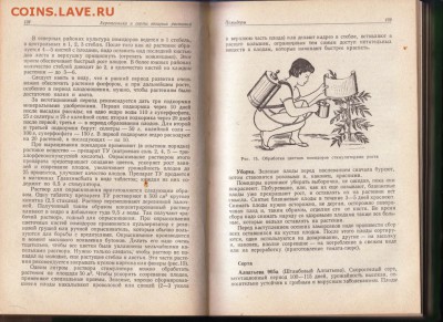 Справочник по огородничеству 1968 г. до 20.07.19 г. в 23.00 - 004