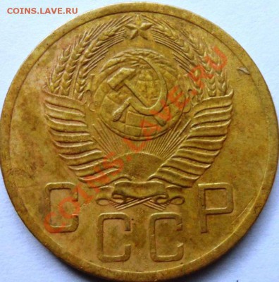 Ранние советы!(оцените) - SAM_2137.JPG