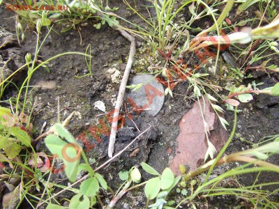 ФОТООТЧЕТЫ ПО ВЫЕЗДАМ 2011 - DSCF0047.JPG