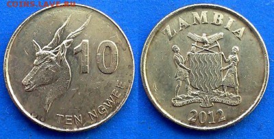 Замбия - 10 нгве 2012 года (Фауна) до 20.07 - Замбия 10 нгве 2012