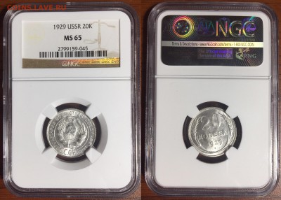 16 монет в слабах NGC, до 21.07.2019 г. 22-00 - 20 1929