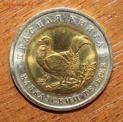 Кр. Книга 1993 Тетерев с 200р до 18 июля 22:10 - IMG_5819.JPG