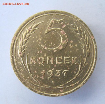 5 копеек 1937 г. до 20.07 в 22-00. - IMG_4343.JPG
