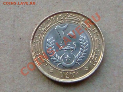 -v- Мавритания 20 угия 2009 бимет. до 14.07(21.00) - DSC03139.JPG