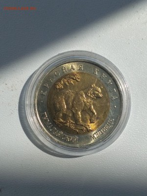РОССИЯ,50 рублей 1993г(КК,Гималайский медведь)до 22.07.2019 - IMG_20190719_134126