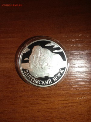 1 руб. Морж. Красная книга 1998г. до 25.07 - 1342-Z8H9YGgYkXY1 (143)