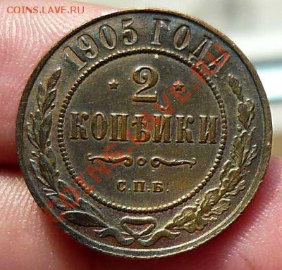 2 коп 1905 спб до 10.07.11. в 21-30 - P1110443_thumb