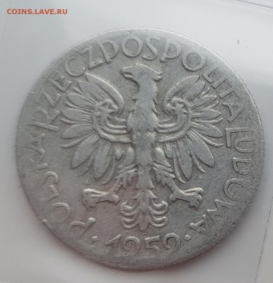  24.07.19 в 22:00 - 20190717_180246