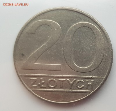  24.07.19 в 22:00 - 20190717_180331