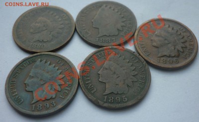 Лот №39. 5 монет по 1 центу США 1880-1896 до 22:00 14.07.11 - 1c_1880-1895_1
