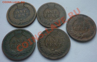 Лот №39. 5 монет по 1 центу США 1880-1896 до 22:00 14.07.11 - 1c_1880-1895_2