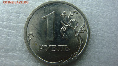 Вопросы по разновиднстям от сахарок - DSC09079.JPG