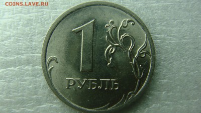 Вопросы по разновиднстям от сахарок - DSC09077.JPG