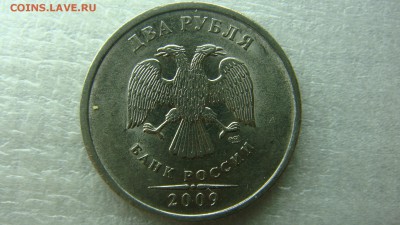 Вопросы по разновиднстям от сахарок - DSC09076.JPG