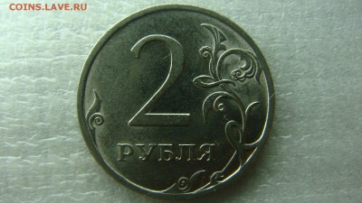 Вопросы по разновиднстям от сахарок - DSC09075.JPG